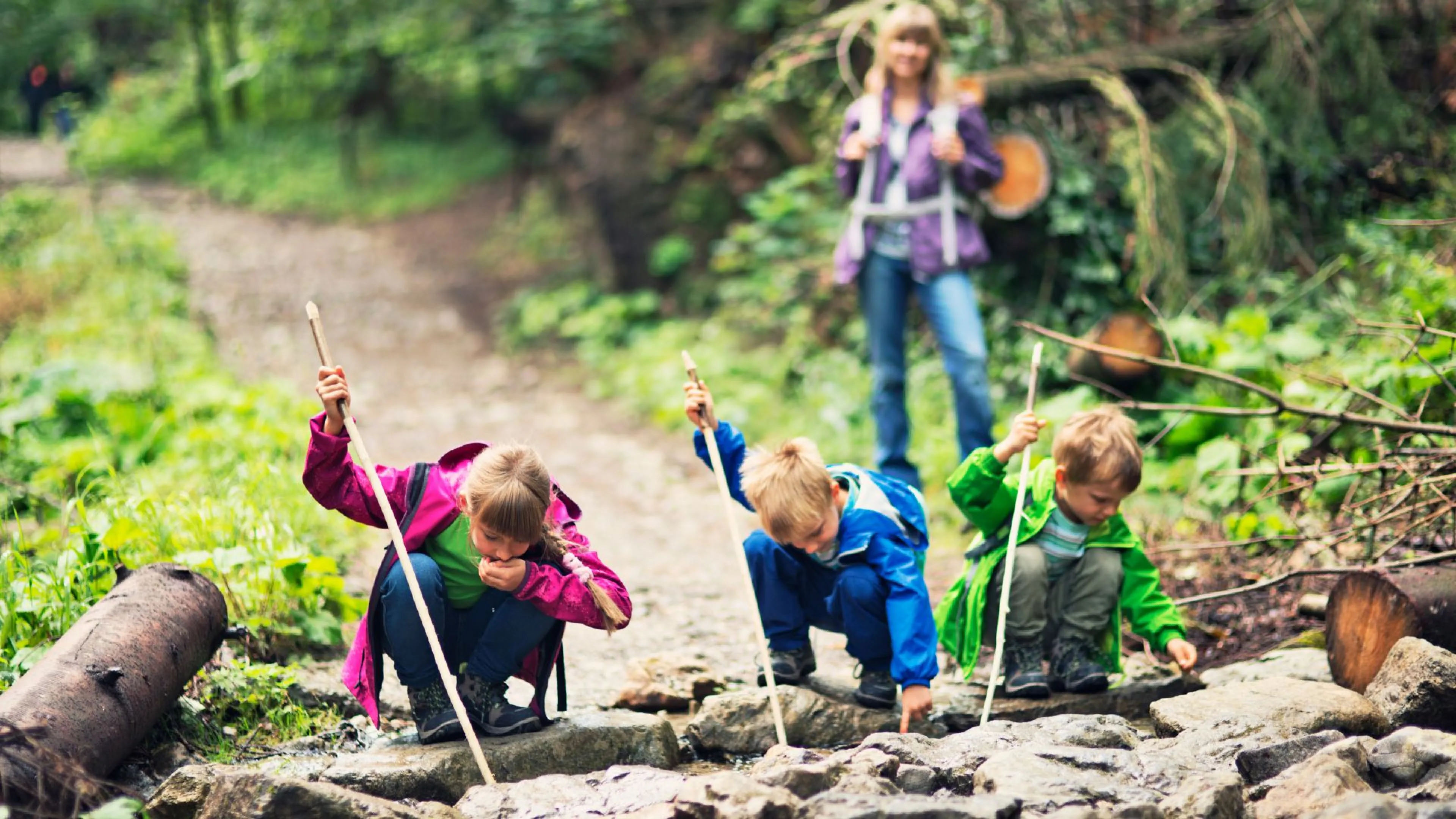 Group of kids having fun together in the woods