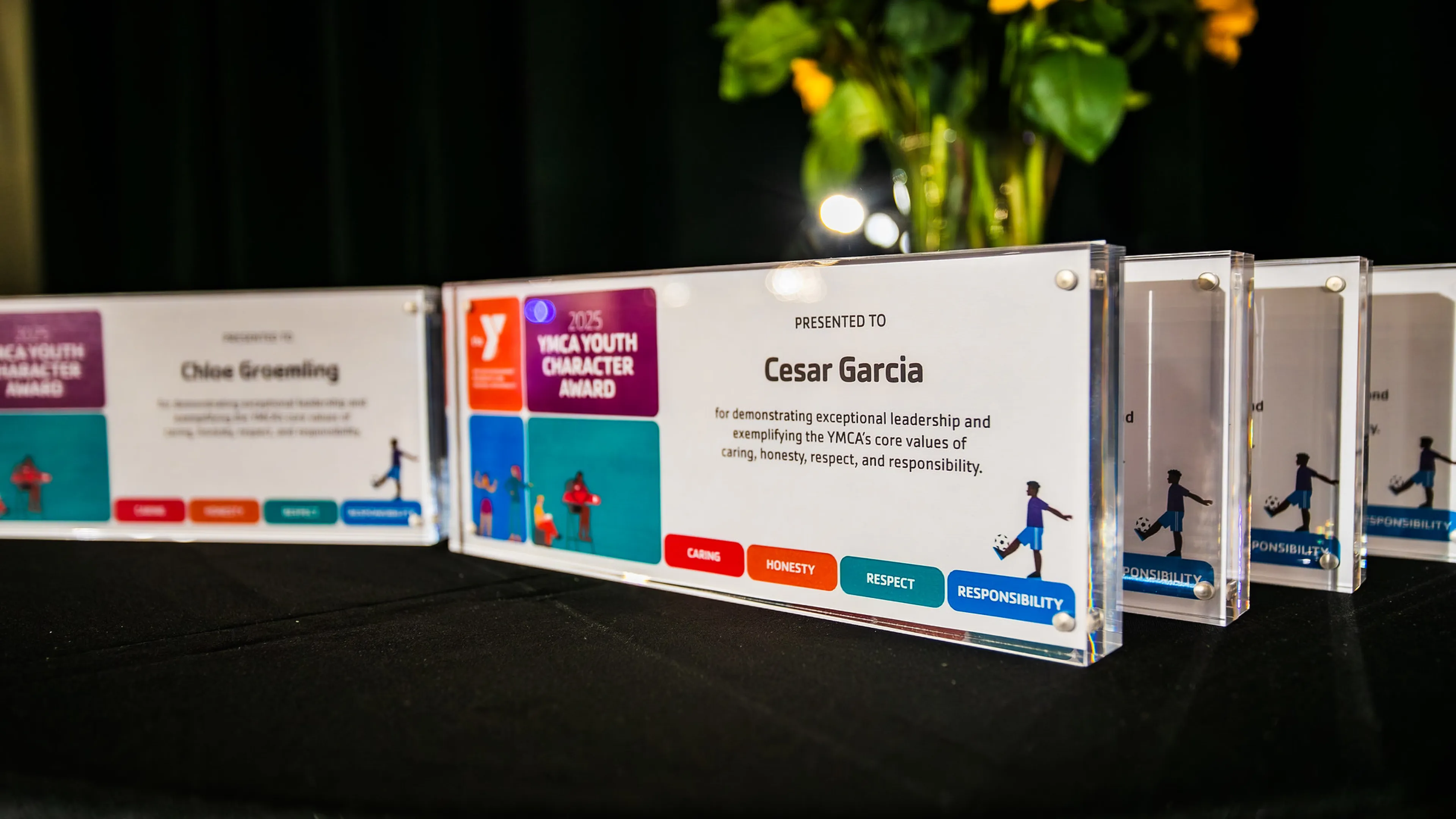 Youth Character Awards